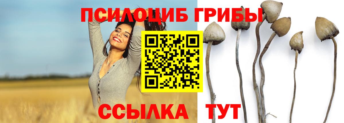 Ейск  Псилоцибиновые грибы мухоморы  Псилоцибиновые грибы ЛСД  Вход с VPN 